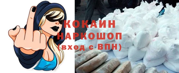 прущий лед Алзамай